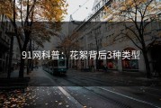 91网科普：花絮背后3种类型