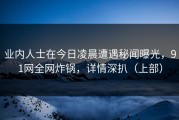 业内人士在今日凌晨遭遇秘闻曝光，91网全网炸锅，详情深扒（上部）