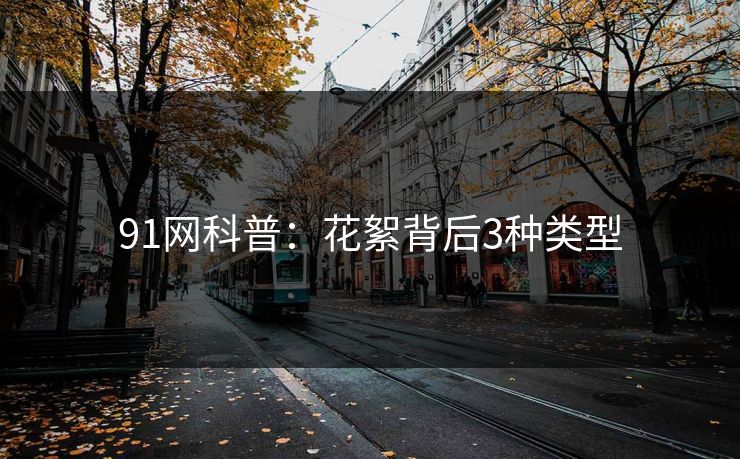 91网科普：花絮背后3种类型