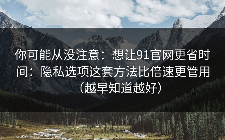 你可能从没注意：想让91官网更省时间：隐私选项这套方法比倍速更管用（越早知道越好）